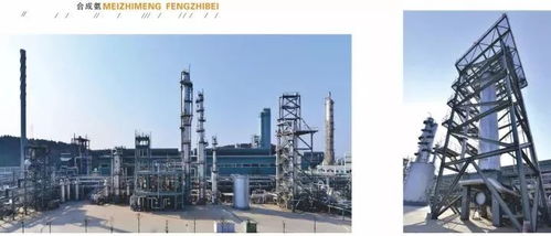 四川美丰一项关键化工工艺通过科技成果鉴定，引领行业绿色高效发展