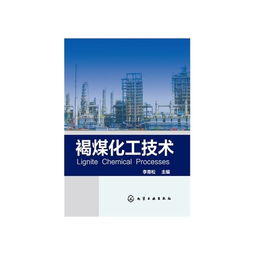 褐煤化工技术与计算机软件技术开发的融合创新