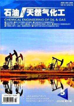 石油与天然气化工技术概述
